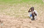 12360 किसानों को लील गया साल 2014, किसान आत्महत्या पर सरकार गंभीर