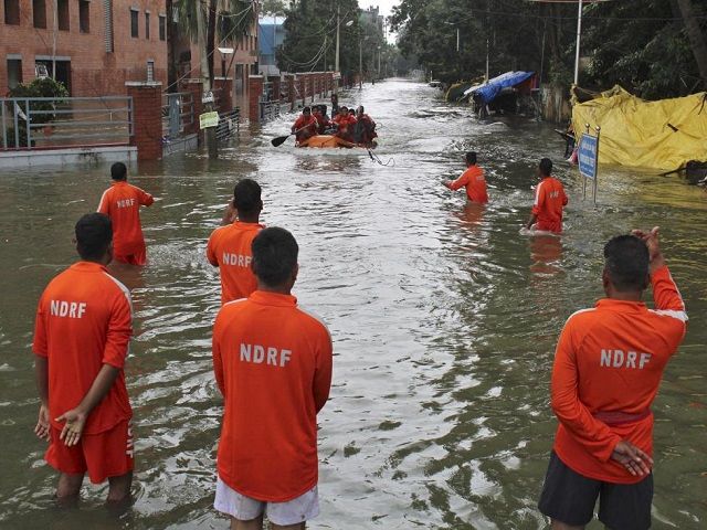 NDRF का बड़ा ऑपरेशन, 85 फीसदी इलाकों में बिजली बहाल, बसो का आवागमन शुरू