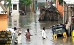 तमिलनाडु की बाढ़ में अब तक 347 मरे