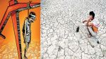 महाराष्ट्र में 2015 के दौरान 725 किसानों ने आत्महत्या की