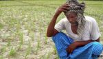 7 किसान करना चाहते है आत्महत्या, सरकार से मांगी अनुमति