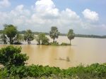 लगातार बारिश से मालदा जिले में गंगा नदी उफान पर,  दो स्थानों पर बांध टूटा