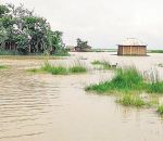 गंडक बराज का गेट टूटा, गाँवो में भरा पानी : बिहार