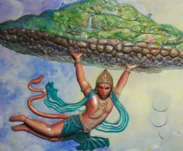 उतराखंड सरकार ढुंढ रही रामायण काल की औषधीय गुण वाली संजीवनी बूटी