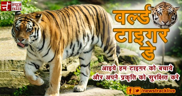 वर्ल्ड टाइगर डे : बाघों की मौत है चिंता का विषय !