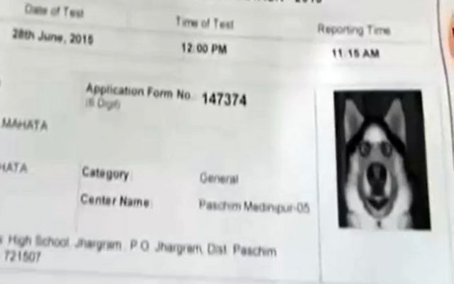 प्रवेश पत्र पर कुत्ते की तस्वीर लगाने पर छात्र गिरफ्तार