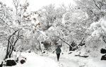 कश्मीर में भारी बर्फबारी की चेतावनी
