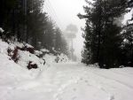 कश्मीर में भारी बर्फबारी, बाधित हुये मार्ग