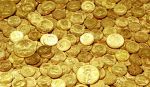 कुदाली फावड़ा लेकर खोज रहे सोने के सिक्के