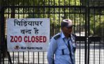 अब दिल्ली में मंडराया बर्ड फ्लू का खतरा