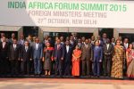 ज्यादा देर तक सुरक्षा परिषद से दूर नहीं रखा जा सकता भारत-अफ्रीका को: सुषमा