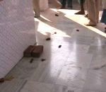 बिहार : मंदिर में बीफ के टुकड़े मिलने से भड़का लोगो का आक्रोश