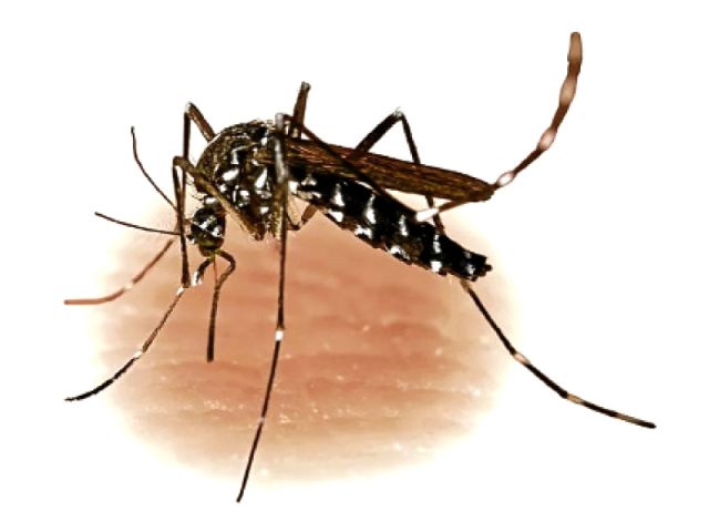 देश के प्रतिष्ठित संस्थान एम्स के कर्मचारी की हुई डेंगू से मौत