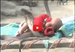Video.... बच्चे की सुरक्षा में 4 सांप तैनात