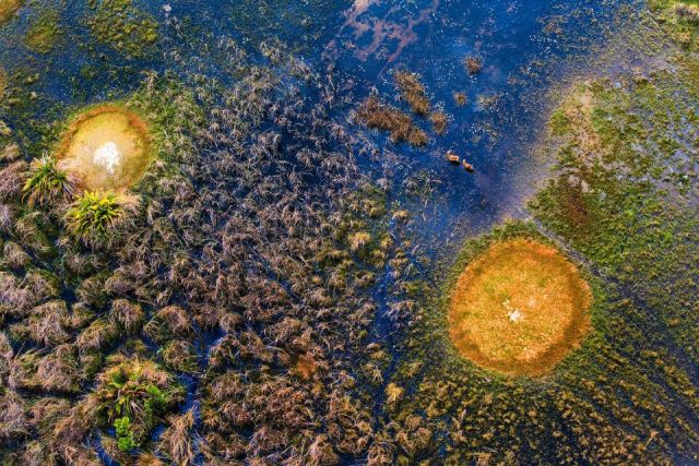 आसमान से क्लिक की गई  Wild Life की कुछ बेहतरीन तस्वीरें