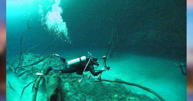 मेक्सिको के Sinkhole में पायी गयी है एक सीक्रेट नदी, देखिए तस्वीरें