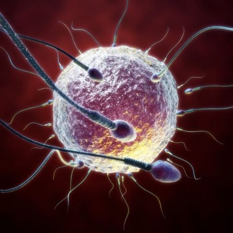 Sperm mix-up : पापा का स्पर्म हुआ चेंज, पैदा होने के बाद बेबी बोला-रॉन्ग पापा!