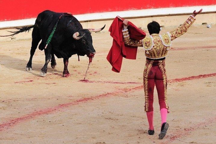 Bullfighting : सांड का सीधे गुप्तांग पर निशाना, लेकिन लड़ता रहा जाबांज