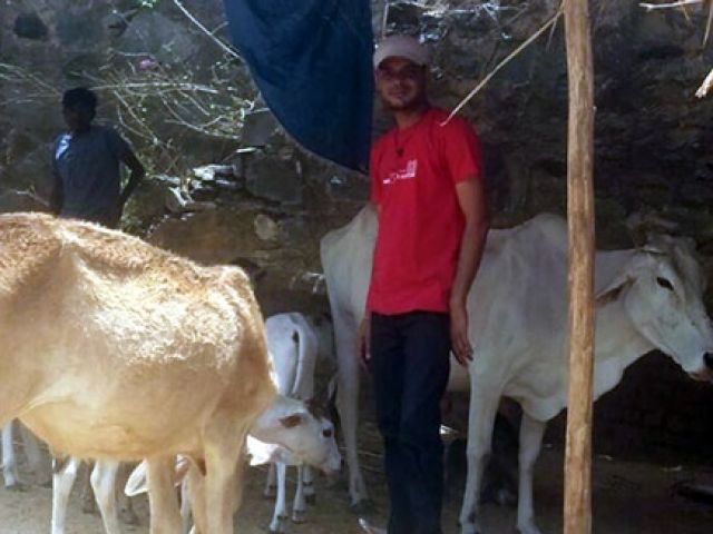 मुस्लिम द्वारा की जा रही गौ शाला में दर्ज़नो गायों की सेवा