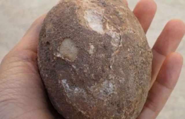 जब महिला को पता चला की मसाले पीसने वाला पत्थर,पत्थर नहीं, बल्कि डायनासोर का अंडा है