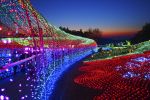 जापान में हर साल मनाया जाता है विंटर लाइट फेस्टिवल