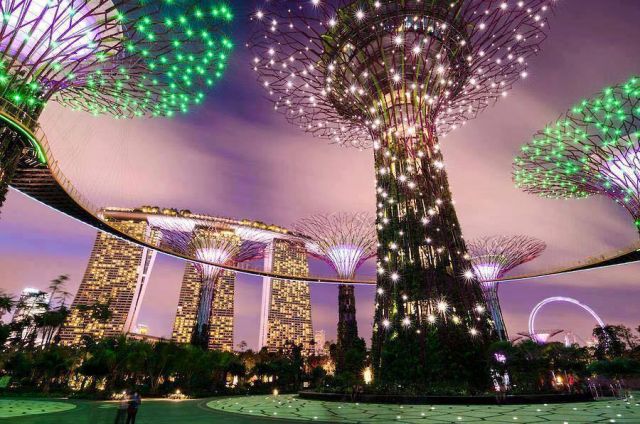 आपने देखा सिंगापुर का Gardens By The Bay