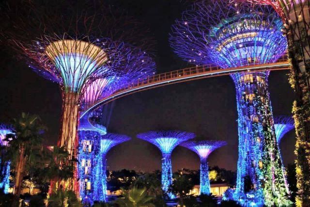 आपने देखा सिंगापुर का Gardens By The Bay