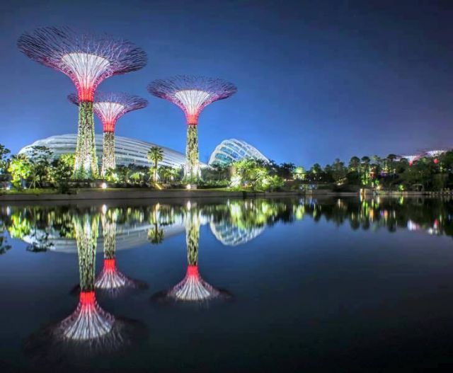 आपने देखा सिंगापुर का Gardens By The Bay