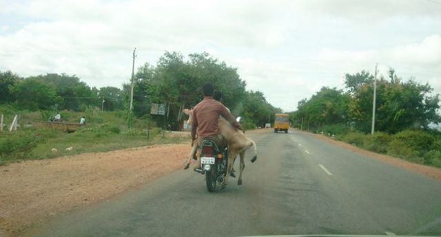 इन फोटोज को देख अपनी हंसी नहीं रोक पाएंगे आप