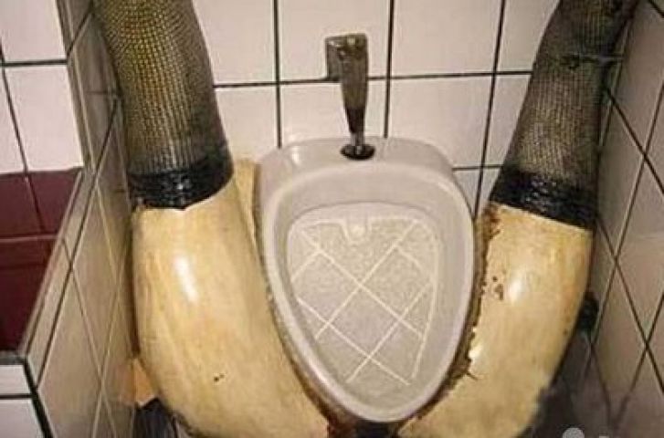 दुनिया भर में है ऐसे अजीबोगरीब टॉयलेट्स की भरमार
