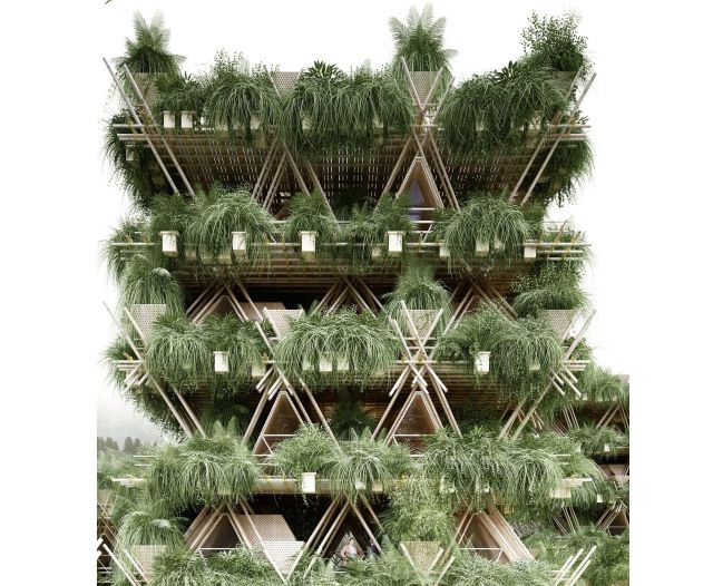 ये हैं चीन का Tree House ,जो बने है सिर्फ बांस से