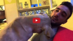 VIDEO- मालिक को मनाते हुए कुत्ते का ये वीडियो आपका दिल खुश कर देगा