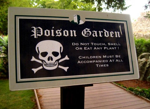 इंग्लैंड में हैं Poisonous Garden, जहाँ जा सकती है जान