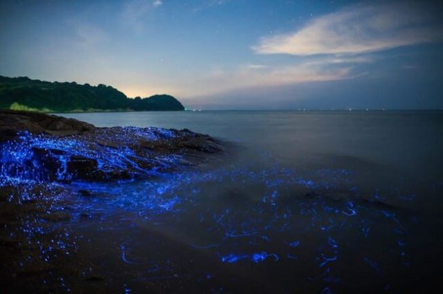 एक ऐसा रहस्य जिसमे समुद्री चट्टानों से बहती है रोशनी