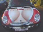 क्या आपने देखी स्तन जैसी दिखने वाली कार