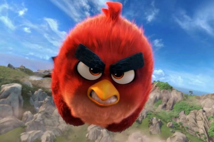 अमेरिका की सबसे सुन्दर चिड़िया Angry Bird