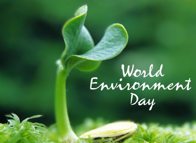 7 अरब सपनों का विश्व पर्यावरण दिवस