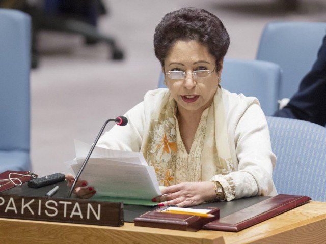 पाकिस्तान ने यूएन में लगाया भारत पर आरोप