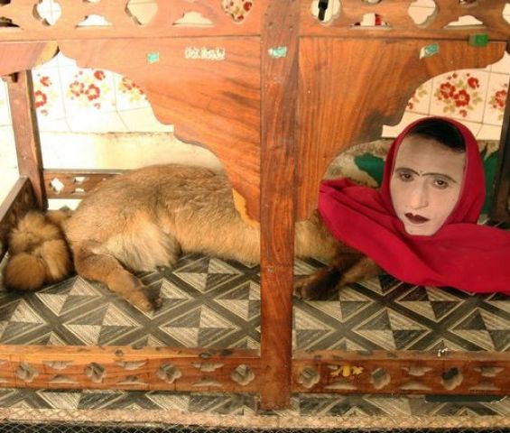पाकिस्तान के जू में है चेहरा इंसान का और शरीर लोमड़ी का