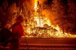 कैलिफोर्निया में जंगल की भीषण आग ने मचाया कोहराम