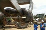 अब तक का सबसे लम्बा सांप पाया गया ब्राजील में
