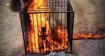 हार के बाद ISIS ने अपने लड़ाकों को जिंदा जलाया