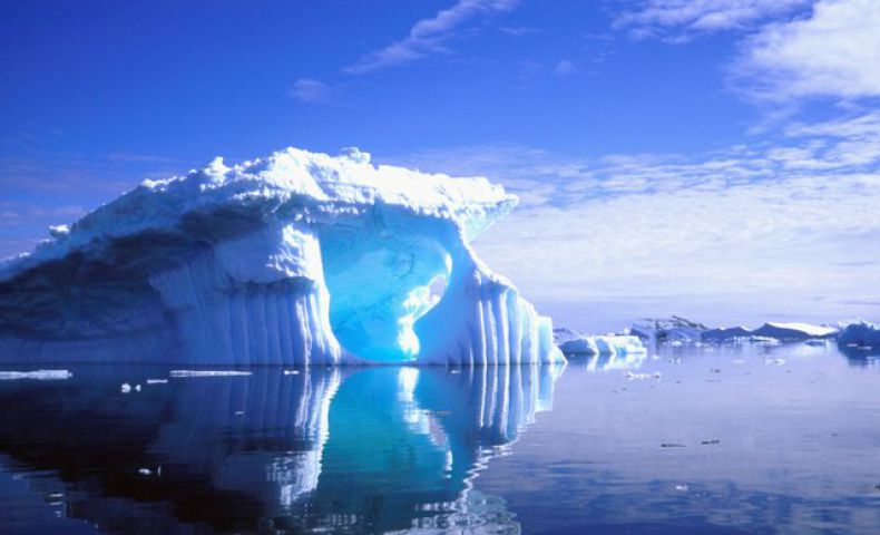 अंटार्कटिका में मिला पांच करोड़ साल पुराना शुक्राणु