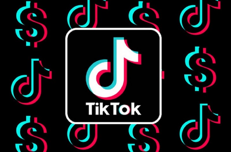 Indian company launches ten times better alternative of Tik Tok