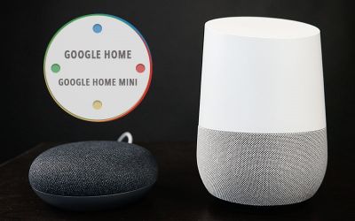 Google Home and Google Home Mini Speaker Launched in India