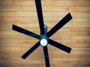 The speed of these ceiling fans is faster than Shaktiman, you will get coolness along with stylish look