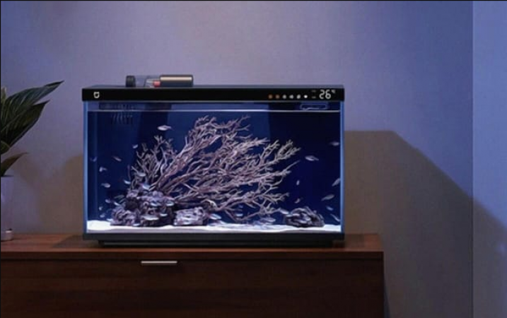 You can remotely feed fish using Xiaomi's smart fish tank.
