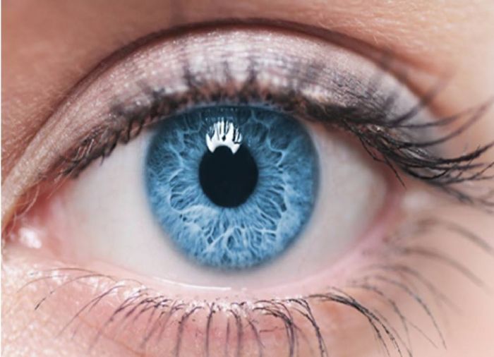 Eye-Gaze app to help ALS patients, to speak through their eyes