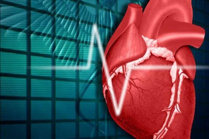 Now, study of cardiac disease will be easier than ever before