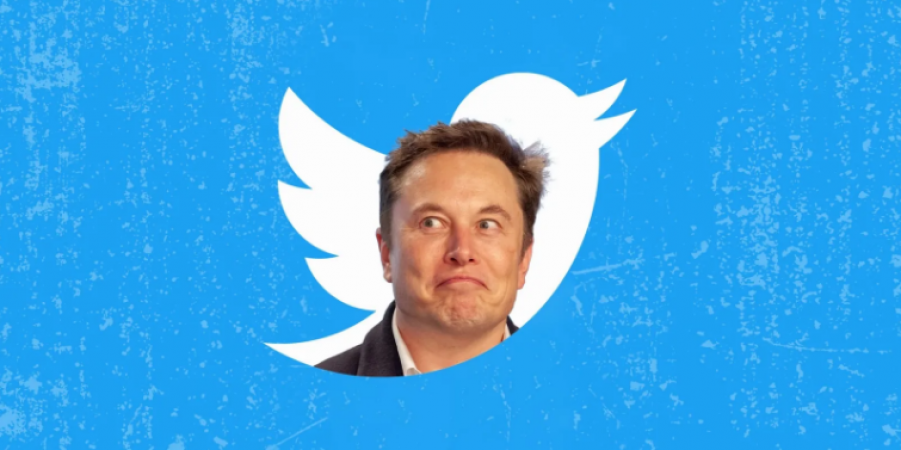 Elon Musk: Twitter won't resume blacklisted users like Donald Trump without a 